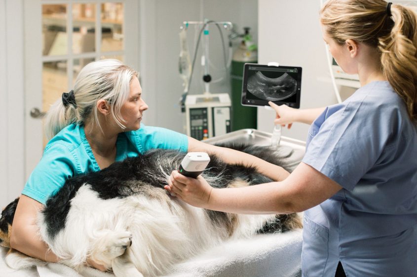 027_Clarius2019_JPG-2