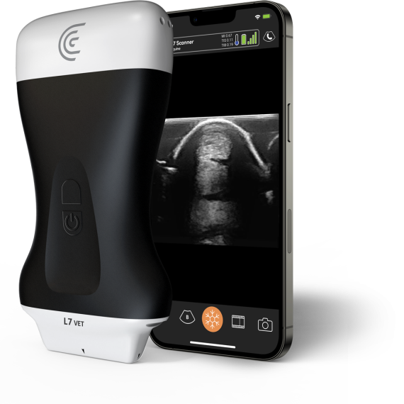 Product-L7-VET-veterinary-ultrasound-for-equine-msk