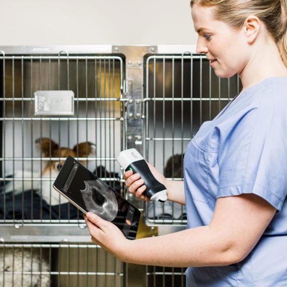 Vet-with-Pets-in-cages