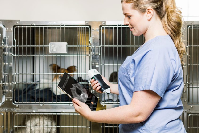 Vet-with-Pets-in-cages